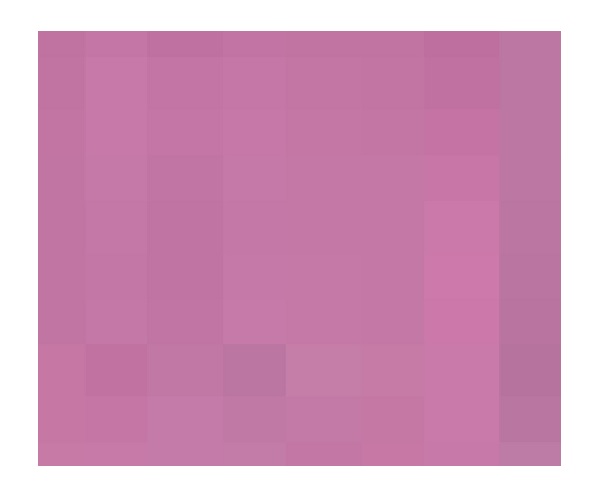 Sexy Blossom Perfume (Women) Type Body Oils